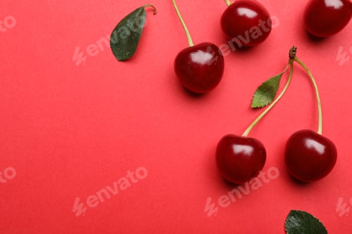 Preview: Tasty ripe cherries with leaves on red background, flat lay. Space for text