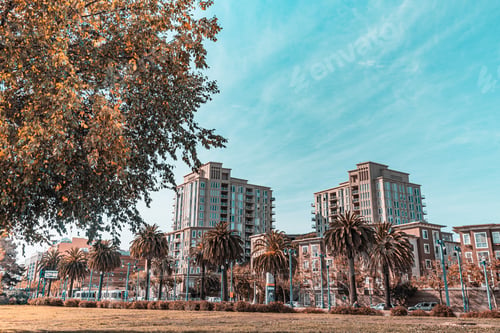 Preview: A city park with palm trees and a large building in the background