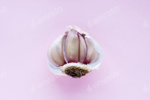 Preview: Garlic