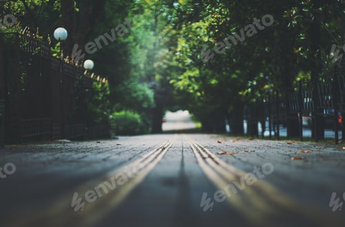 Preview: Dark alley, city boulevard surrounded by trees