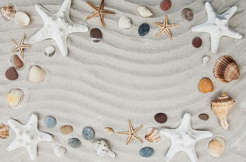 Preview: Summer background seashells and starfish