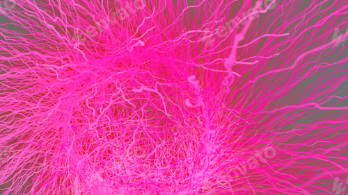 Preview: particles Asymmetrical Branching Fractal network