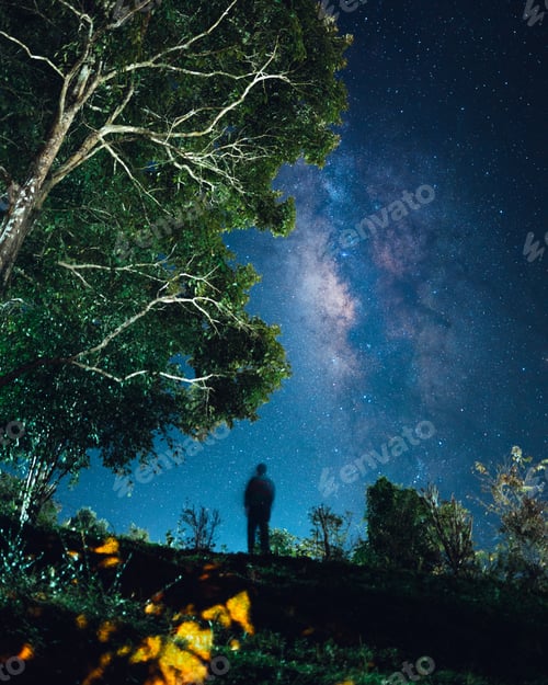 Preview: Night scene milky way background,Trees Against Sky At Night