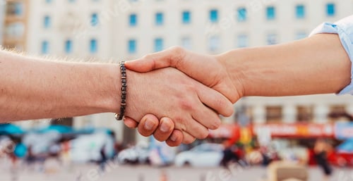 Preview: Successful businessmen handshaking after good deal