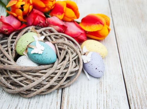 Preview: Easter egg in the nest