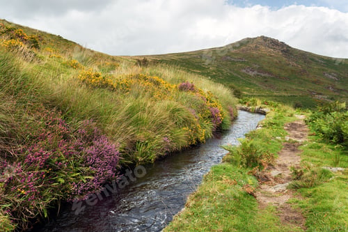 Preview: Dartmoor Leat