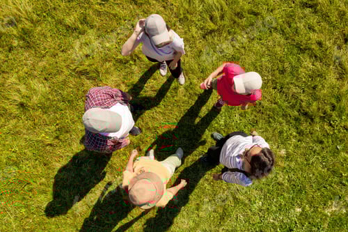 Preview: Top aerial view of people standing in circle on green grass. Drone photography