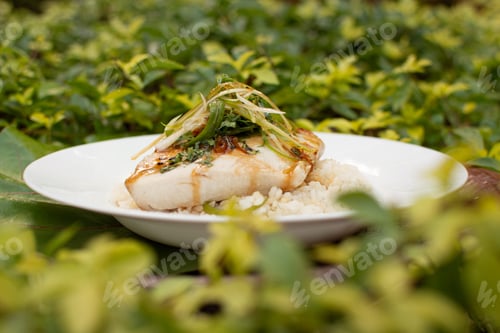 Preview: Steamed fish fillet, over white rice, with chives topping and honey and soy sauce. Seafood. White fi