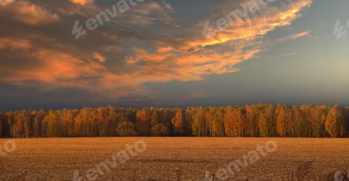 Preview: Stormy sunset sky over autumn stubble field