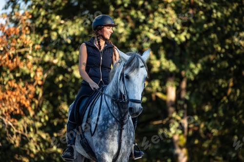 Preview: copyspace young female rider relaxes while horseback riding through the forest at sunset