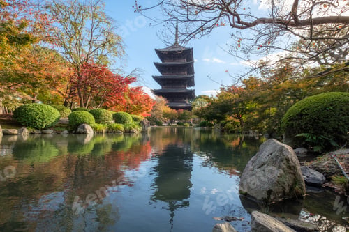 Preview: Ancient wood Toji temple of unesco world heritage site in autumn leaves garden at Kyoto