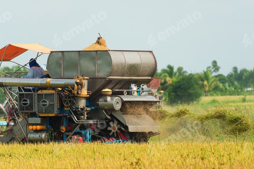 Preview: Combine harvester with worker harvesting in rice field during harvest season in countryside