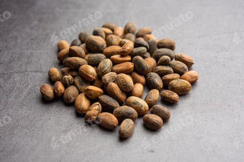 Preview: Jamalgota or Jayapala - Croton tiglium seed is an Ayurvedic medicine also known as purging croton