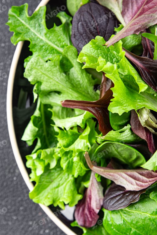 Preview: Fresh salad leaves mix salad juicy healthy snack micro greens, arugula, lettuce, oak leaf salad