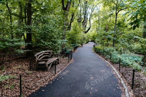 Preview: Footpath surrounded by trees in Central Park, New York City, USA