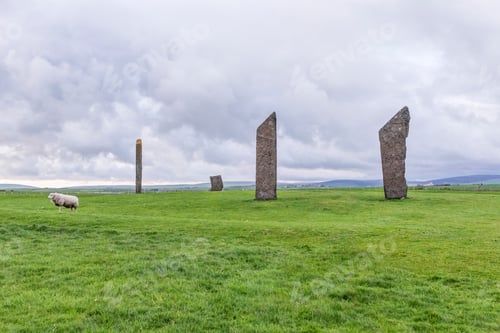 Preview: The Stones of Stenness in highland landscape, with a sheep in foreground.