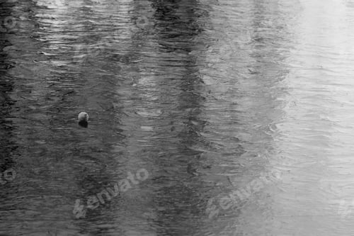 Preview: Tennis Ball On Frozen Pond - Black And White Photograph Of A Tennis Ball On The Ice Of A Frozen