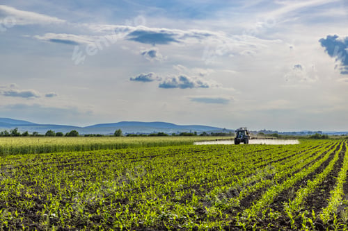 Preview: Tractor spraying pesticides