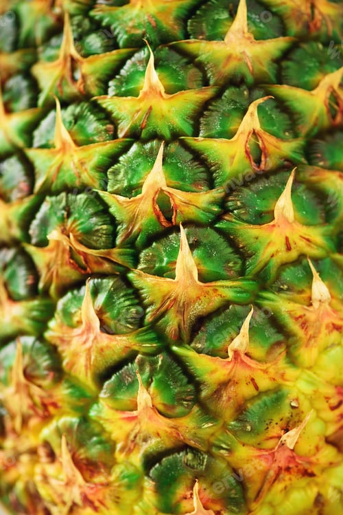 Preview: Texture of pineapple skin. Copy space. Beauty and diet concept. Macro shoot of pineapple fruit