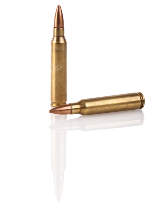Preview: Two Rifle Bullets