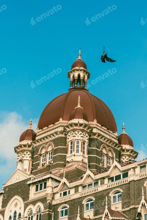 Preview: a very tall building with some birds flying overhead in a city