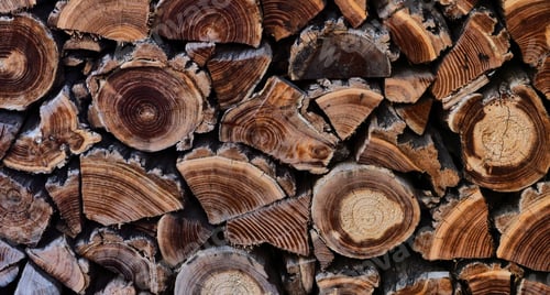 Preview: Wooden abstract background.Texture of wooden boards with aged rings.Old tree with aged rings.