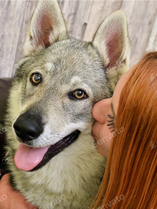 Preview: Woman With Dog Czechoslovakian Wolfhound