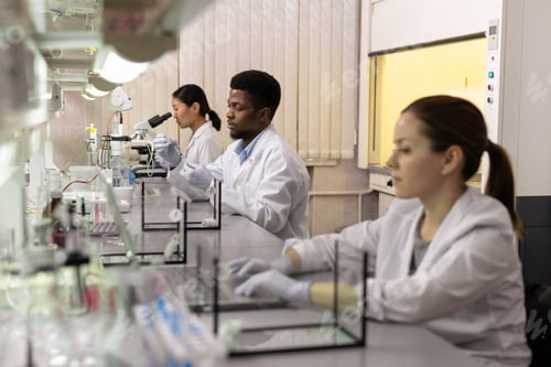 Preview: Young intercultural scientists working in laboratory