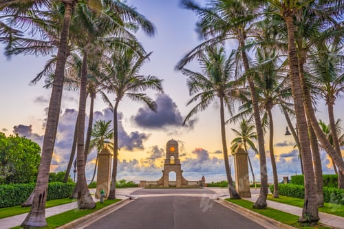 Preview: Palm Beach Florida