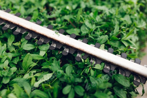 Preview: Bush cutter blades on the background of green bush leaves