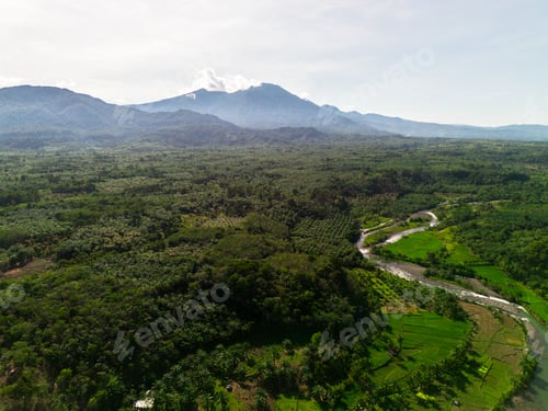 Preview: Beautiful morning view indonesia panorama landscape paddy fields