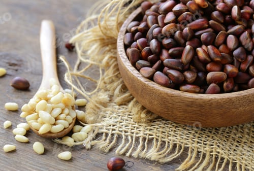 Preview: Pine Cones and Nuts