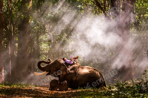 Preview: Elephant and school boy in Thailand