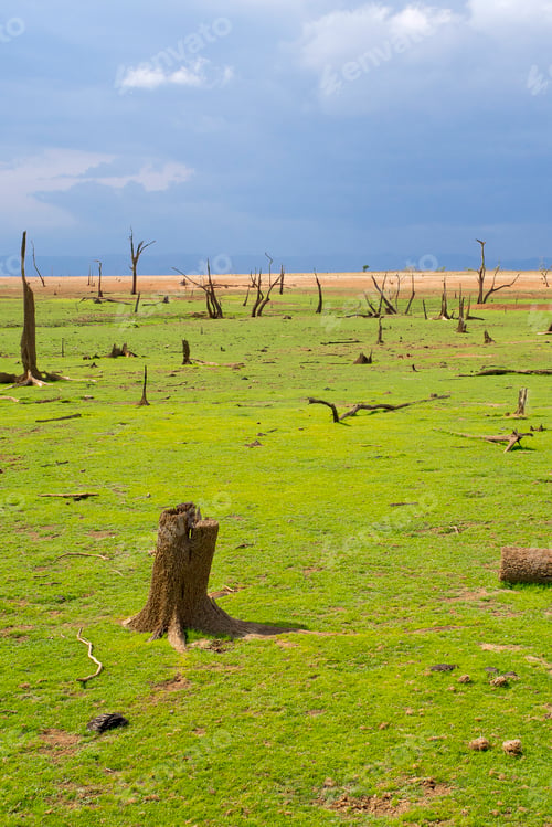 Preview: Waterland Landscape, Udawalawe National Park, Sri Lanka