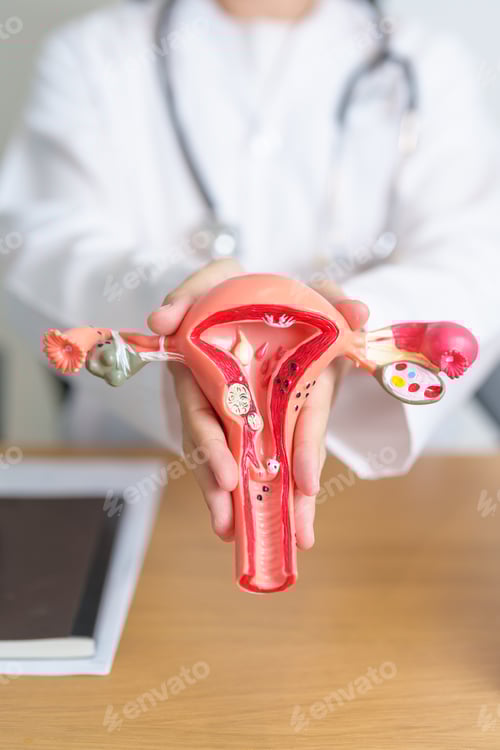 Preview: Medical Professional Holds Anatomical Model in Office