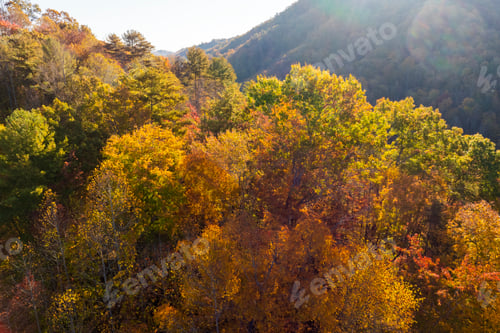 Preview: Appalachian mountain hills on autumn evening with brightly illuminated lush