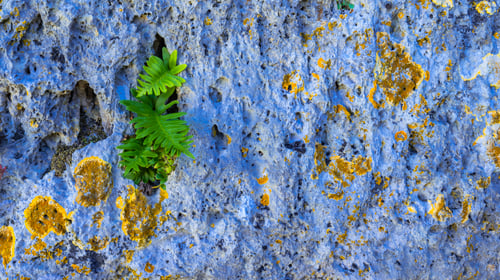 Preview: Natural Rock Background