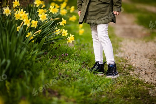 Preview: Close-up feet of little girl in the spring country on the green grass with yellow daffodils