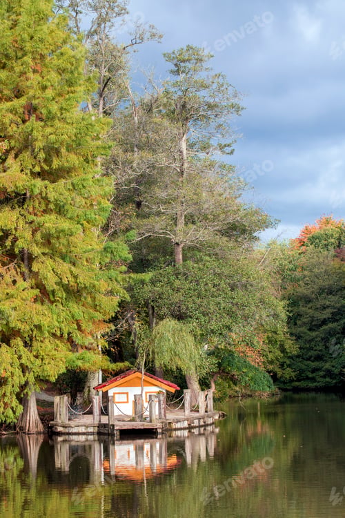 Preview: Istanbul / Turkey, Ataturk arboretum autumn view. Travel concept photo.