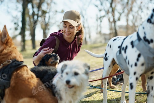 Preview: Young woman and pack of dogs relaxing after a walk in nature.