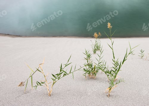Preview: Sand dunes of Nubra Valley. Himalaya mountains landscape