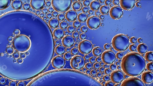 Preview: Abstract Colorful Food Oil Drops Bubbles and spheres Flowing on Water Surface