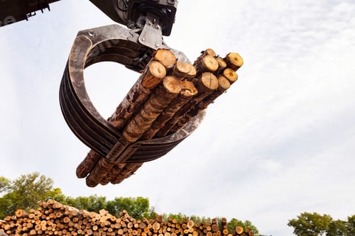 Preview: Woodworking industry. Close-up of harvester log loader working in manufacturing plant