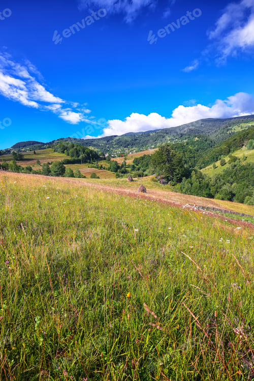 Preview: Beautiful countryside landscape with forested hills and haystacks on a grassy rural field