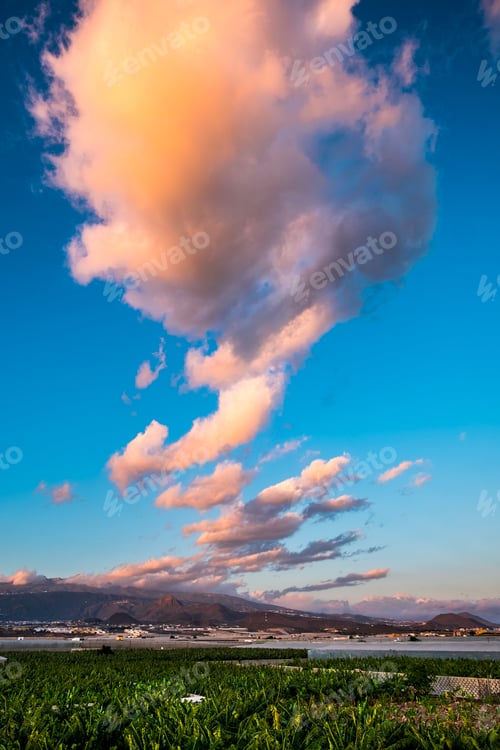 Preview: Landscape sunset beautiful view of tree bananas plantation and mountains in background