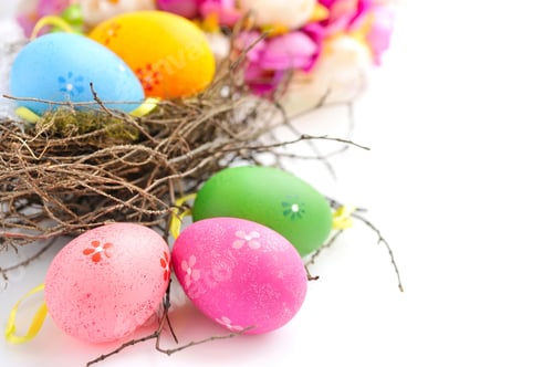 Preview: Colorful easter eggs in nest on a white background