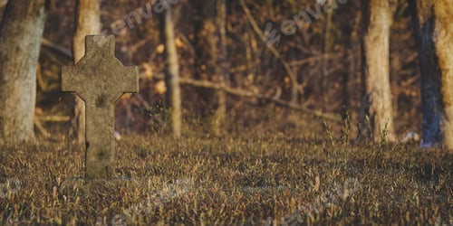 Preview: Grave in cemetery located in park in sunlight. 3d render