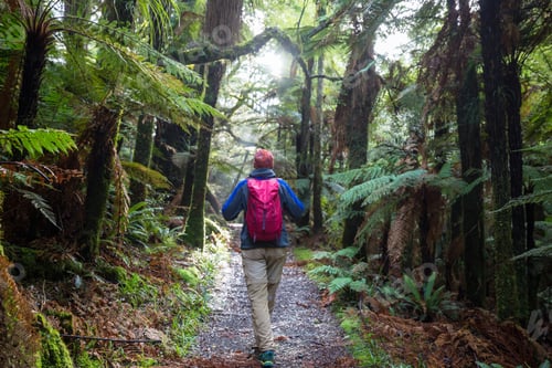 Preview: Tramping