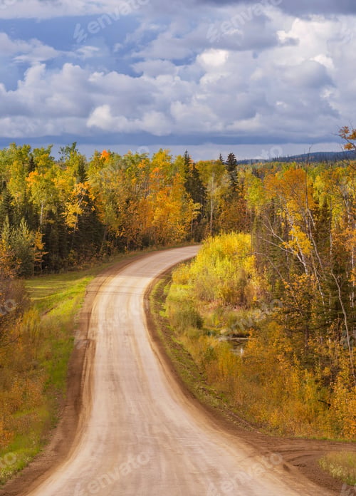 Preview: Autumn road