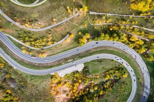 Preview: bird's-eye view of the road with an autumn forest and a road slot.